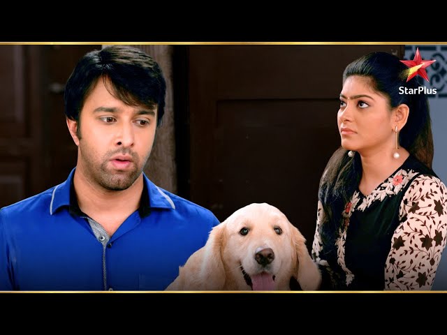 क्यों लाया युवराज स्नूपी को? | Suhani Si Ek Ladki