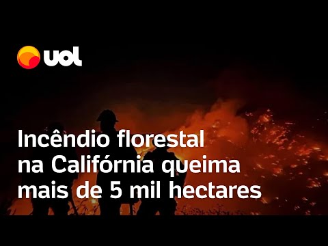 Incêndio na Califórnia queima cerca de 5 mil hectares; vídeos mostram chamas 'engolindo' floresta