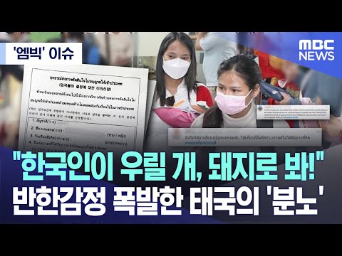 ['엠빅' 이슈] "한국인이 우릴 개, 돼지로 봐!" 반한감정 폭발한 태국의 '분노' (2023.11.02/엠빅뉴스)