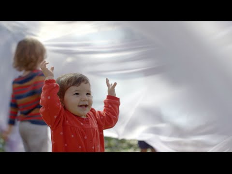 The Beginning of Life: The Series'