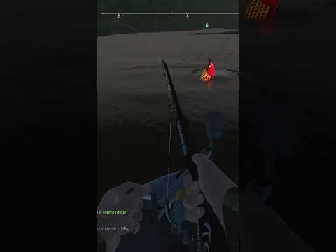 Payara Vampire | #ayrtonlechatts sur #Twitch