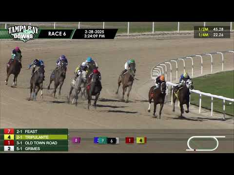 February 28, 2025   Race 6