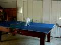 Tico the Cat Plays Ping Pong (HILARIOUS VID!)