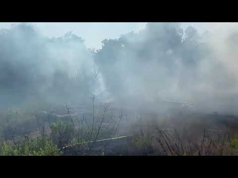 לוחמי האש השיגו שליטה על שריפת קוצים בפרדס חנה כרכור