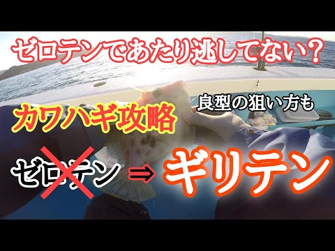 カワハギ攻略！ゼロテンじゃなくギリテンです！