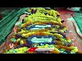 Bahubali Leaves and Other Flowers Used For Decorating Medaram Premises | Sammakka Sarakka | V6 News  - 05:34 min - News - Video
