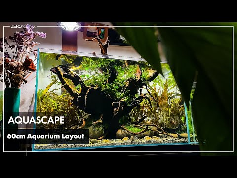 【水草栽植】丸石と大磯砂利と玉砂利を使ったレイアウト制作 /aquarium/aquascape/60cm/vlog/