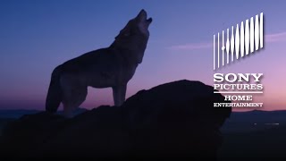 Wolf Totem - OFFICIAL TRAILER