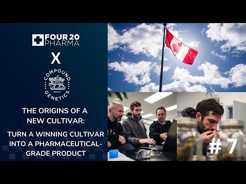 The origins of a new cultivar | 420 Pharma x Compound Genetics - Part 7