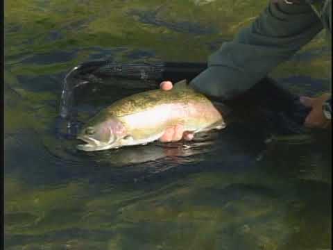 Let Wyoming be your next fishing adventure enjoy Jack's Secret Wyoming  reveal Fremont County rivers