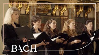 Bach, JS: Sei Lob und Preis mit Ehren, BWV 231