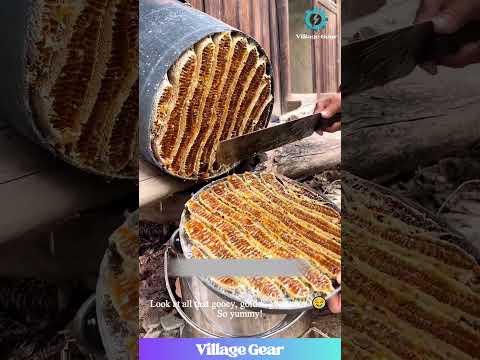 My Brain is SO HAPPY Watching This Honey Harvest! 😂 This is PEAK Satisfying Content! #honey #bee