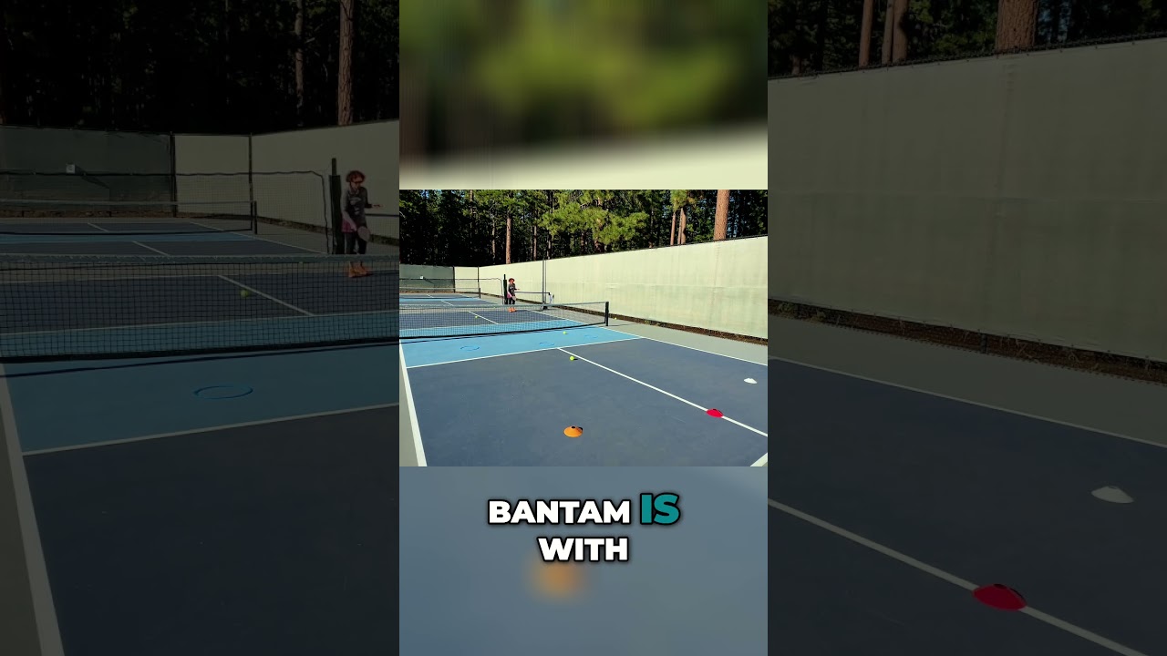Bantam GTO-C Paddle: Power vs Arm Comfort