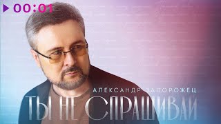 Александр Запорожец — Ты не спрашивай | Official Audio | 2024