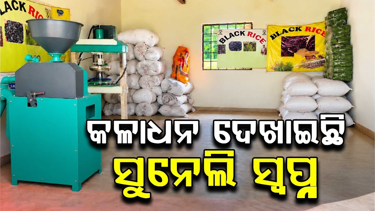 Malkangiri: Tribal Women Script Success With Black Rice Farming | Argus News