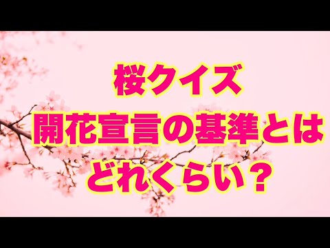 【桜クイズ】開花宣言の基準とはどれくらい？【SLH】
