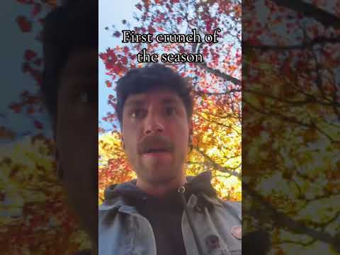 CRONCHY #onthisday #fall #leaves #spookyseason