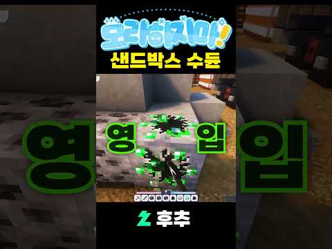 샌드박스 수듄
