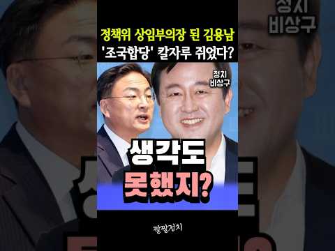 정책위 상임부의장 된 김용남, '조국당 합당' 칼자루 쥐었다?