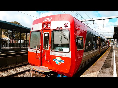 Trains at Goodwood and Adelaide Showgrounds | Polygon Transit