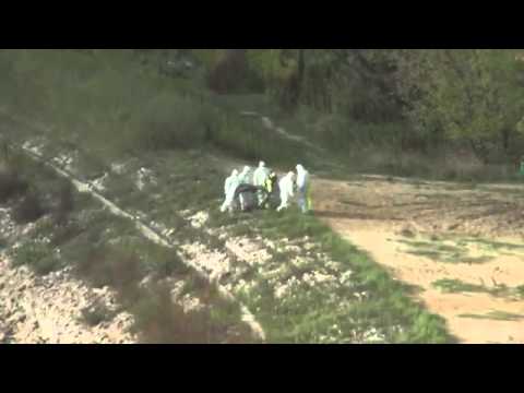 A ekzistojnë në të vërtetë këto krijesa?