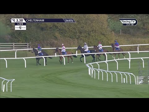 After winning TWO Derbies at Epsom he's won at Cheltenham 😮