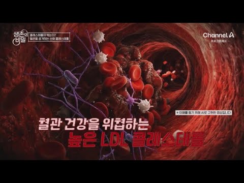 혈관 건강을 위협하는 높은 <strong>LDL</strong> 콜레스테롤 | 생존의 비밀 65 회