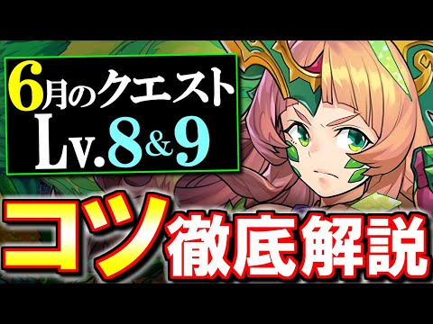 【これで安定します】サクっと魔法石17個をGET!!6月のクエスト チャレンジLv8&9立ち回りとコツを徹底解説!!【パズドラ】