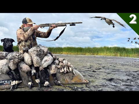 Decoying GEESE and TEAL In Tight! | Minnesota GOOSE HUNTING Opener