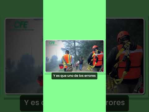Antes de comprar CFE Internet mira esto