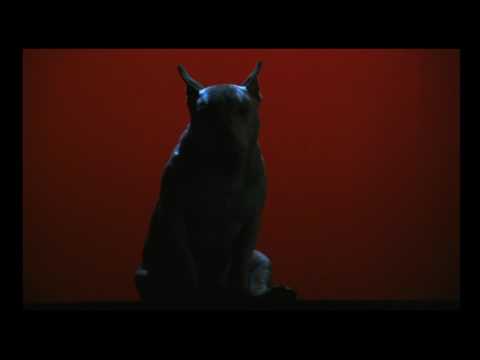Baxter'