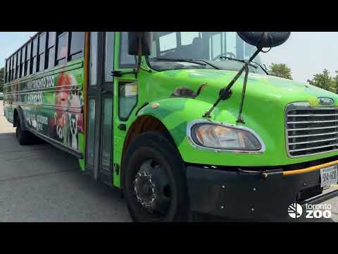 Ride Parkbus to your Toronto Zoo 🚌