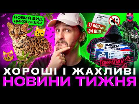 🚩Гучні тачки забороняють 🚩Хакерський взлам виборів РФ 🚩 Відкрили новий вид Кішок