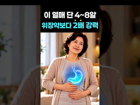 이 <strong>열매</strong> 4알이면 위장운동 촉진제보다 2배 강합니다