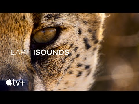 Earthsounds'