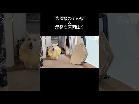 爆発した洗濯機のその後&原因は?💣