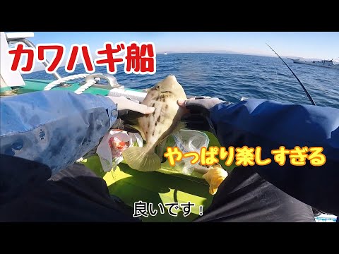 カワハギ船 #カワハギ釣り #内房 #南房総