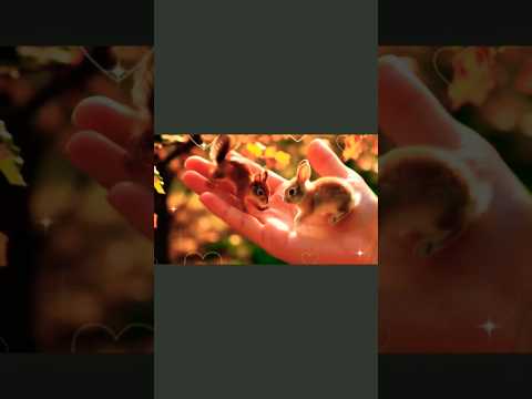 Cutest Baby Animals Ever 🥺 Puppies, Bunny & Squirrel | Viral #shorts