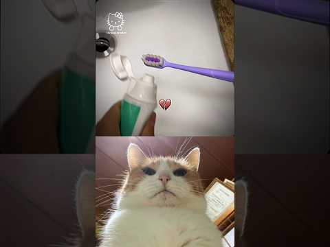 TOOTHBRUSH AURA 😆 PART 6 #shorts #funny #viral