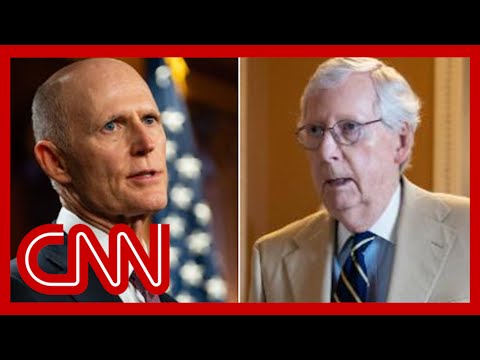 GOP senator blasts McConnell for ‘treasonous’ scrutiny of party’s candidates