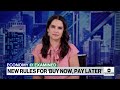 Federal regulators implement new rules for buy now, pay later services - 03:09 min - News - Video