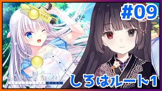 【Summer Pockets -REFLECTION BLUE-】しろは、友達と青春する…！ #9【朝武神奈​​​ / Vtuber​​】