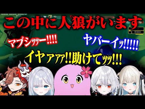 人狼VALORANT【 SqLA 】