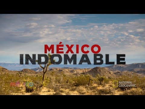 México Indomable Episodio 3