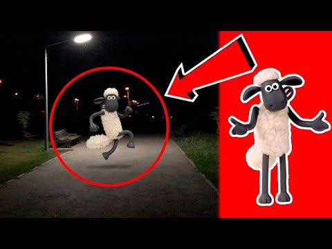 6 OVEJA SHAUN en la Vida Real