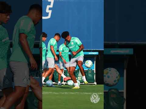 image para ilustrar o artigo