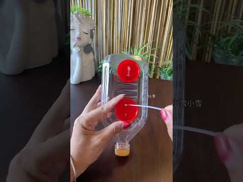 Create bottle plastic for planting flower garden flowers #diy #flowers #plants #beautiful #2025