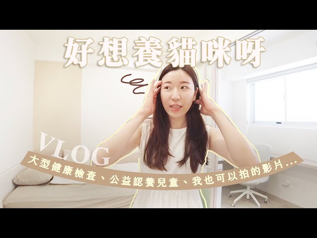 好想養貓啊怕得癌去做了大型健檢終於認養到兒童！末羊Vlog - 末羊子