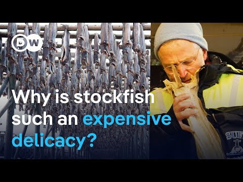 Stockfish: A prized but pricey delicacy from Norway | DW News
