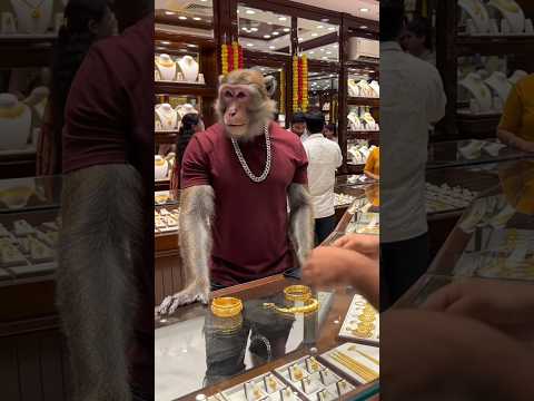 Dhanteras Gold Shopping 🤑💵🛍️,Aur Pizza Party With Baccha Party ❤️🔥 #monkeyvlog #aimonkeyvlog